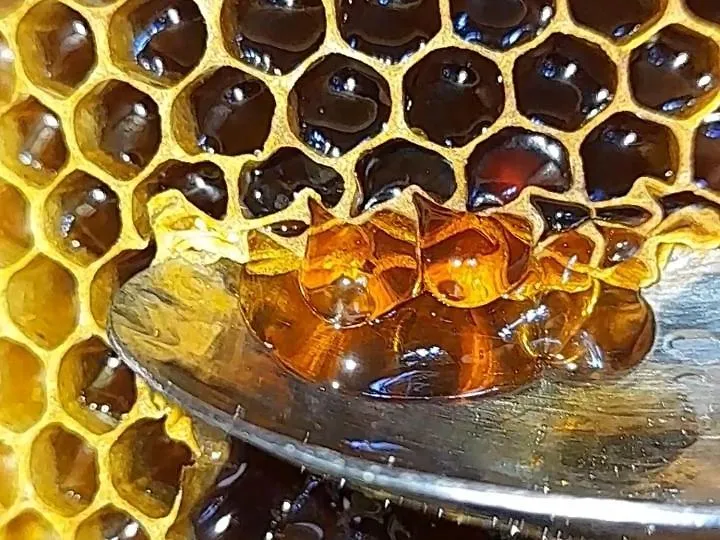Honey-House “Kastrioti” Daire Përmet 0*,  Arnavutluk