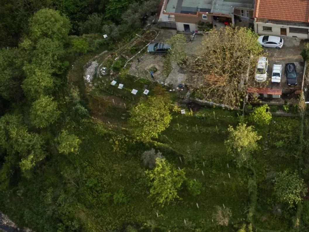 Honey-House “Kastrioti” Apartment Permet Homestay