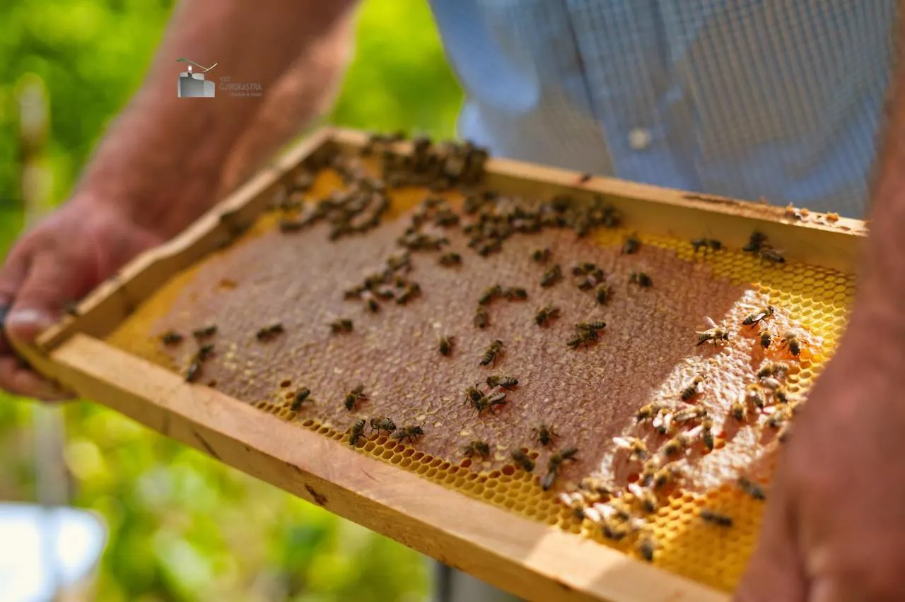 Honey-House “Kastrioti” Lägenhet Përmet Rum i privatbostad